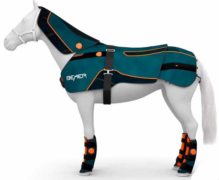Caballo equipado con la manta y las protecciones del BEMER Horse-Set