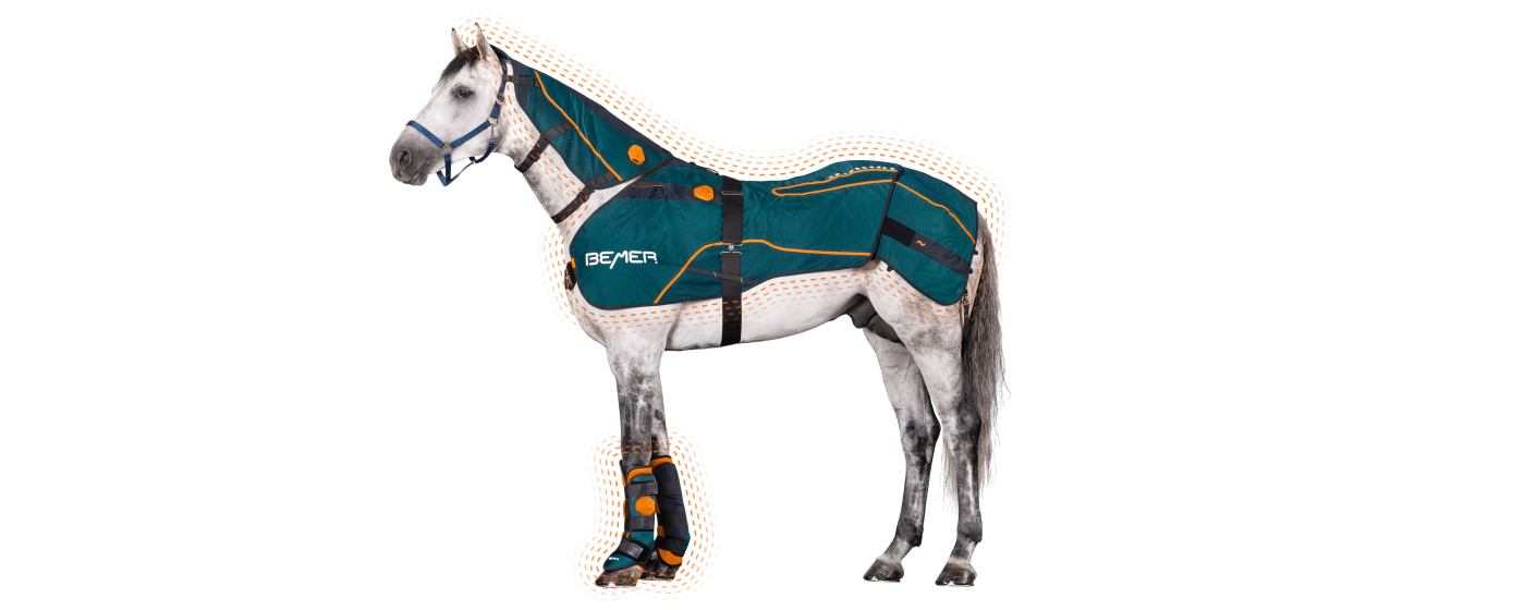 BEMER Horse-Set en uso