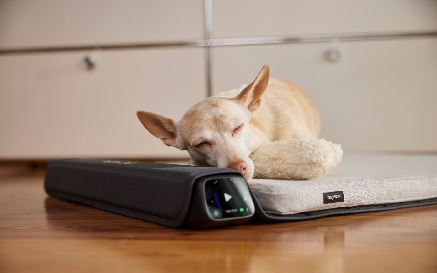 Perro durmiendo sobre la cama del BEMER Dog System